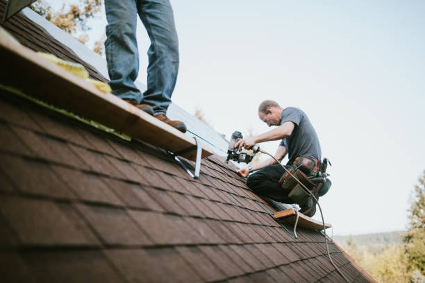 Best Gutter Installation and Roofing  in Blanchester, OH